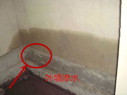 外墙渗水内墙堵漏 两种实用方法详解