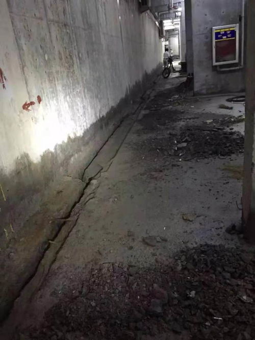 龙口污水池伸缩缝堵漏公司